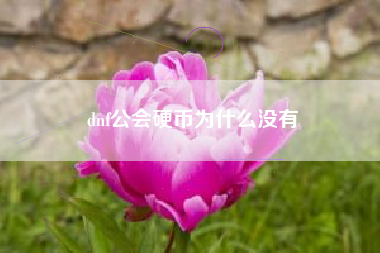 dnf公会硬币为什么没有