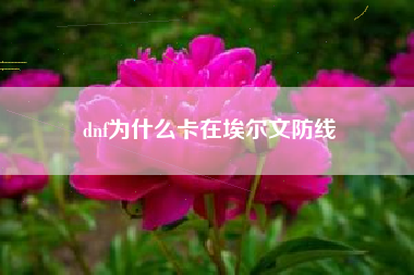 dnf为什么卡在埃尔文防线