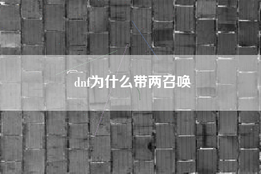 dnf为什么带两召唤