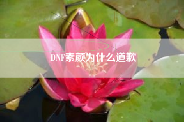 DNF素颜为什么道歉