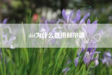 dnf为什么要用赫尔德