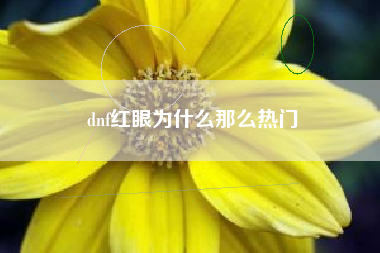 dnf红眼为什么那么热门