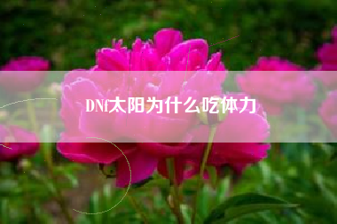 DNf太阳为什么吃体力