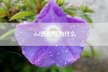 dnf进图慢为什么