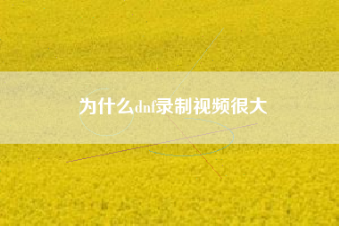 为什么dnf录制视频很大