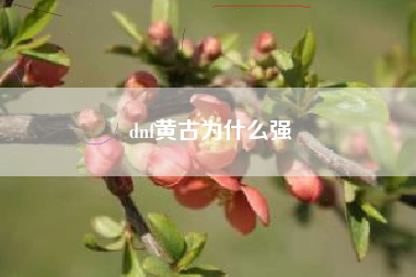 dnf黄古为什么强