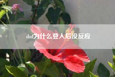 dnf为什么登入后没反应