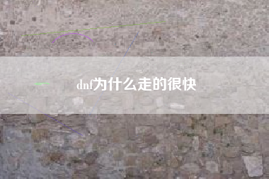 dnf为什么走的很快