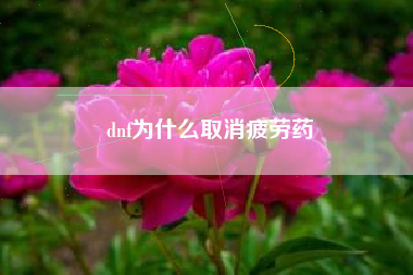 dnf为什么取消疲劳药