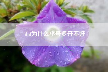 dnf为什么小号多开不好