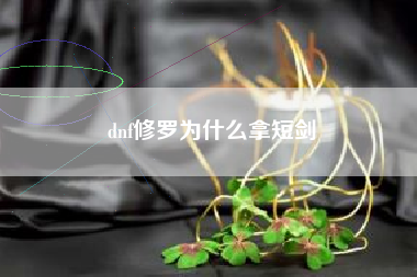 dnf修罗为什么拿短剑