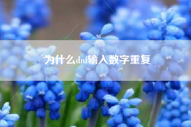 为什么dnf输入数字重复