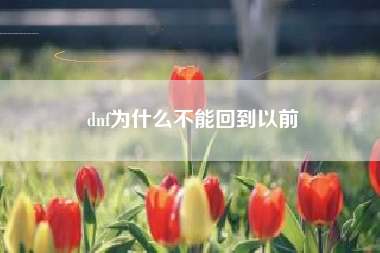 dnf为什么不能回到以前