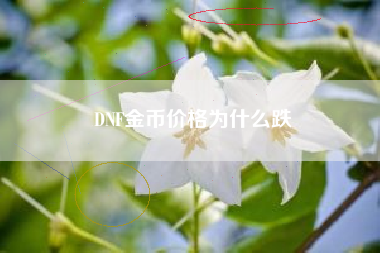 DNF金币价格为什么跌