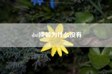 dnf换装为什么没有