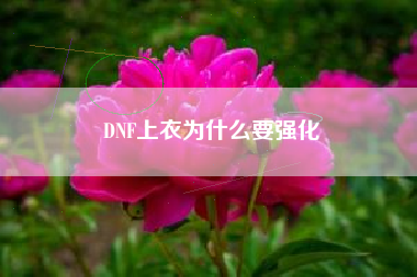 DNF上衣为什么要强化