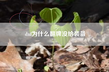 dnf为什么翻牌没给装备