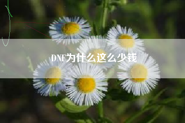 DNF为什么这么少钱