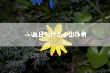 dnf夏日为什么不出泳装