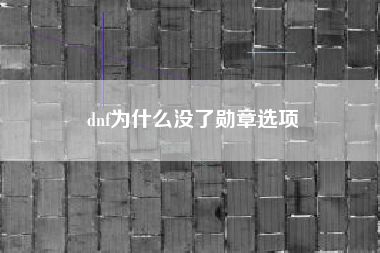 dnf为什么没了勋章选项