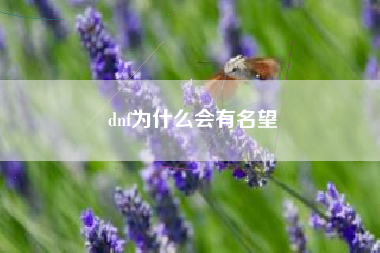 dnf为什么会有名望