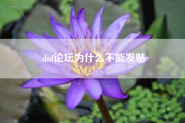 dnf论坛为什么不能发贴