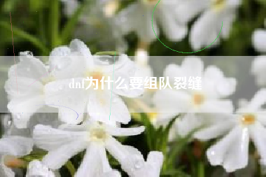 dnf为什么要组队裂缝