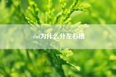 dnf为什么分左右槽