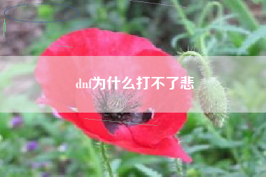 dnf为什么打不了悲