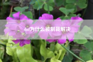 dnf为什么被制裁解决