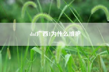 dnf广西1为什么维护