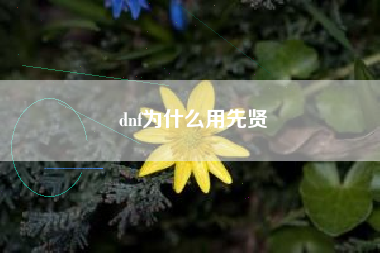 dnf为什么用先贤