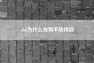 dnf为什么宠物不给找回