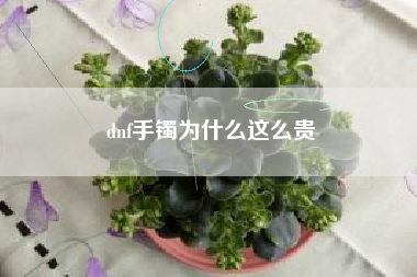 dnf手镯为什么这么贵