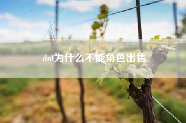 dnf为什么不能角色出售