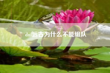 dnf远古为什么不能组队