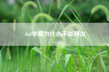 dnf举报为什么不能呼出