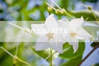 为什么没有女生玩dnf