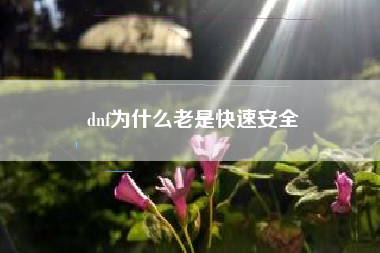 dnf为什么老是快速安全