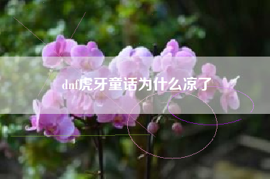 dnf虎牙童话为什么凉了