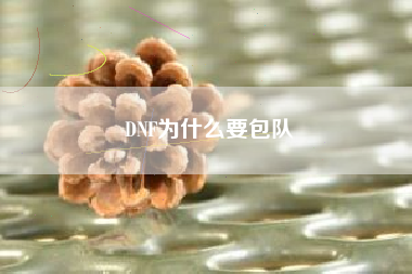 DNF为什么要包队