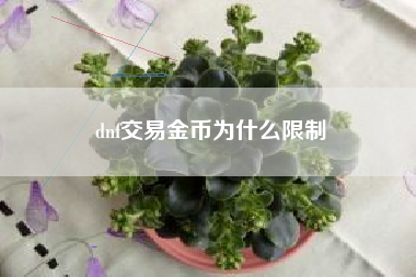 dnf交易金币为什么限制