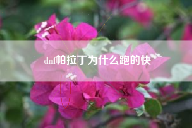 dnf帕拉丁为什么跑的快