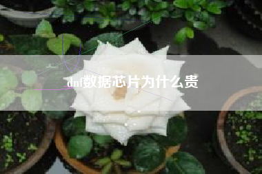 dnf数据芯片为什么贵