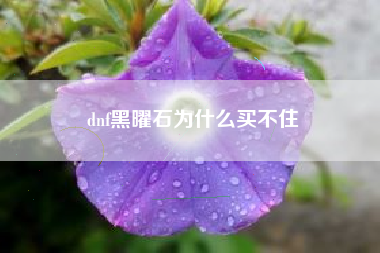 dnf黑曜石为什么买不住