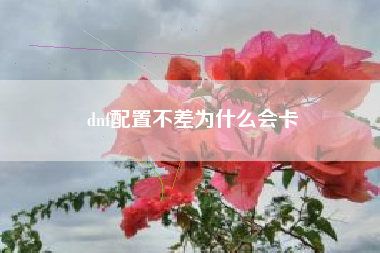 dnf配置不差为什么会卡