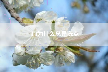 dnf为什么总是洗点