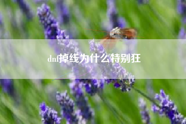 dnf掉线为什么特别狂