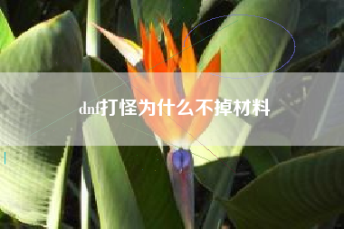 dnf打怪为什么不掉材料