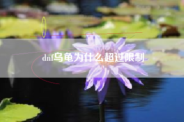 dnf乌龟为什么超过限制